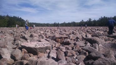 Hickory Run State Park - Boulder Field