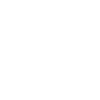 PALMER JAY   BELLEZA & TOCADOR