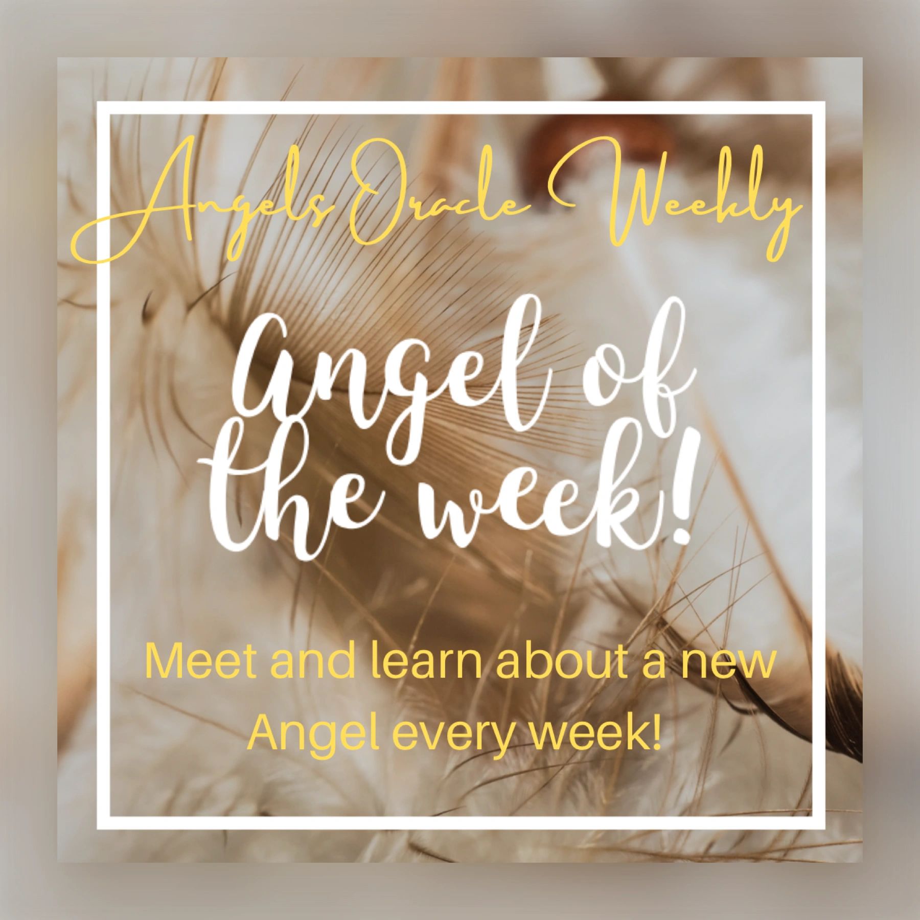 Angels Oracle Weekly: Discover a new Angel of the week!