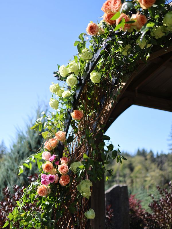 roses, wedding arch, bridgerton