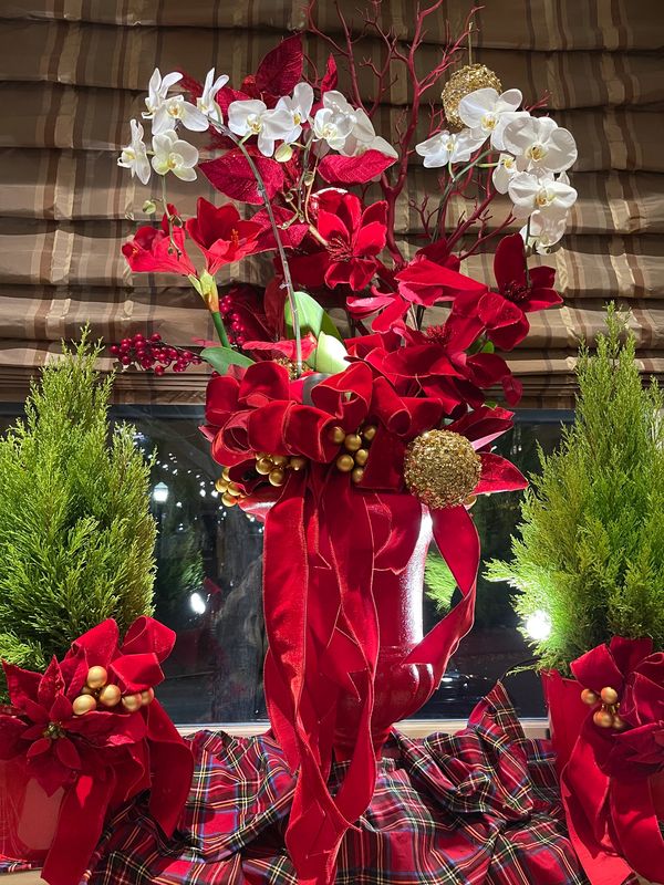 christmas florals of white orchids, red amaryllis, in red urns with long red velvet ribbons 