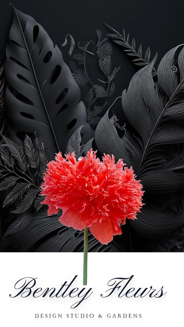 red breadseed poppy over black floral image