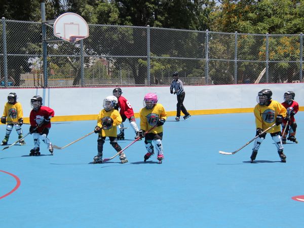 Youth Roller Hockey Players