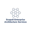 Scopuli Architecture Services