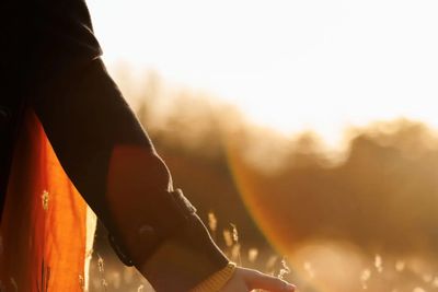 Hand touching golden field grass.