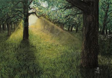 A green forest with yellow light glowing behind the trees.
