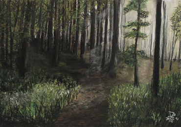 A forest lit up with ambient light.