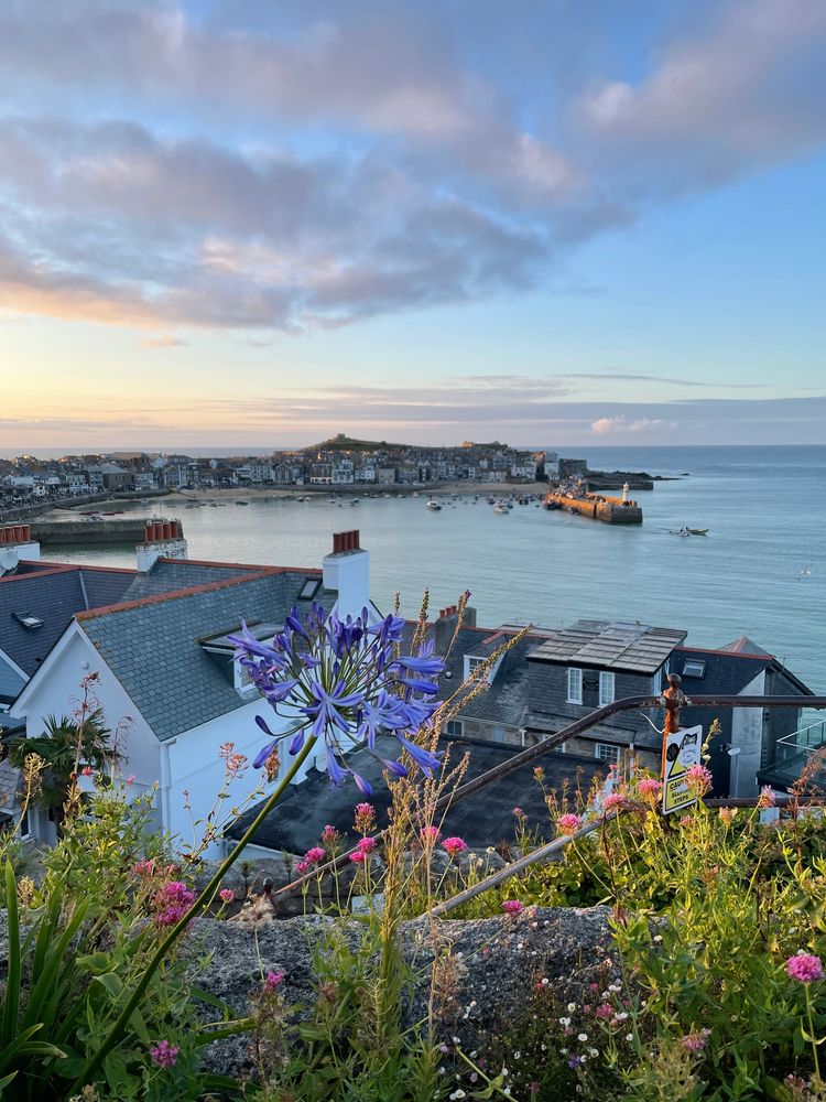 St ives holiday 
Holiday cottage st ives
Dog friendly st ives 
Luxury st ives
Cornwall holiday