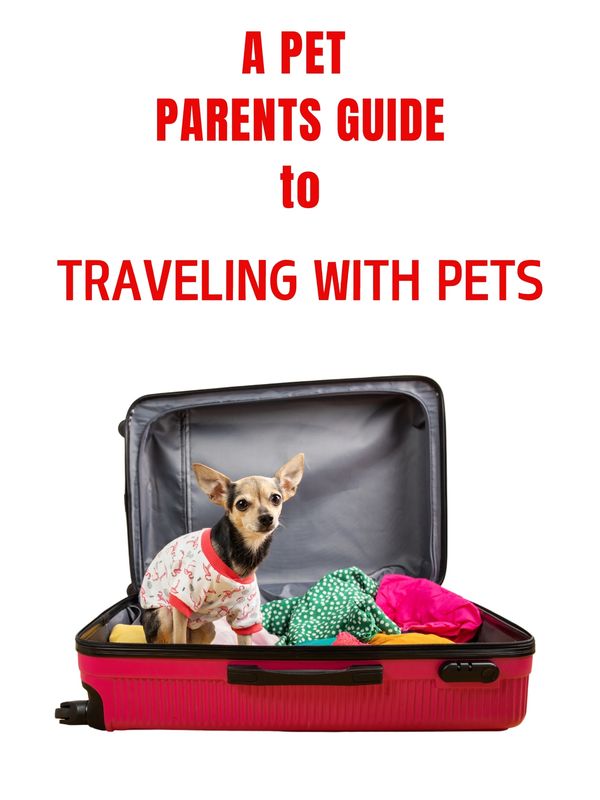 A travel guide book for traveling with pets