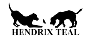 Hendrix Teal Dog Academy