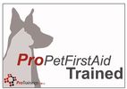 Dog, pet, first aid, puppy