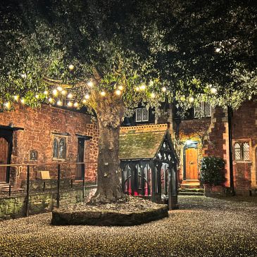 Tree with lights in a rustic courtyard at night.