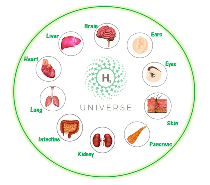H2 Universe — Molecular hydrogen benefits for every organ