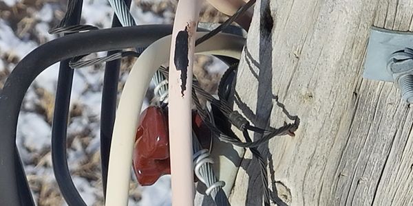 Close-up of electrical cables and wires on a wooden utility pole.
