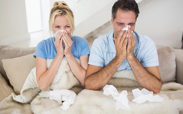 Indoor Air Quality can reduce sickness