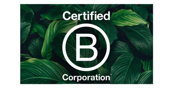 B Corp
Sustainability
CSR Consulting