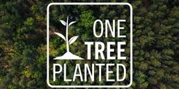 One Tree Planted
Sustainability
Planet
Giveback
HR & CSR Consulting