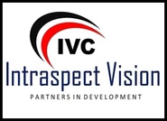 Intraspect Vision