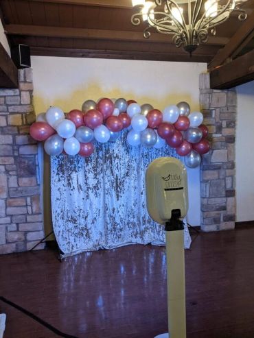 Sequin Backdrop 