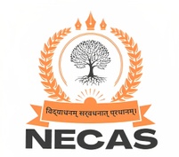 North-East Chartered Accountants Society for Tax Awareness