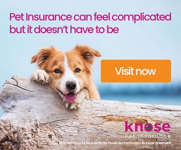 Quality Pet insurance