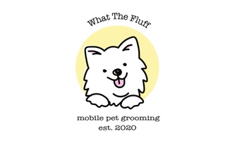 WTF Mobile Grooming JAX