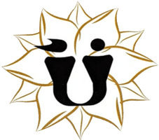 Universal Skin Care Spa