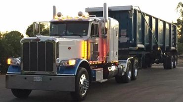 #1 all shined up
