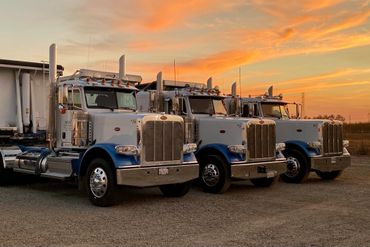 Part of the fleet at dusk.