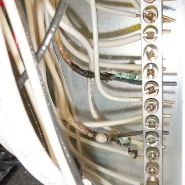 Faulty wiring with burned insulation
