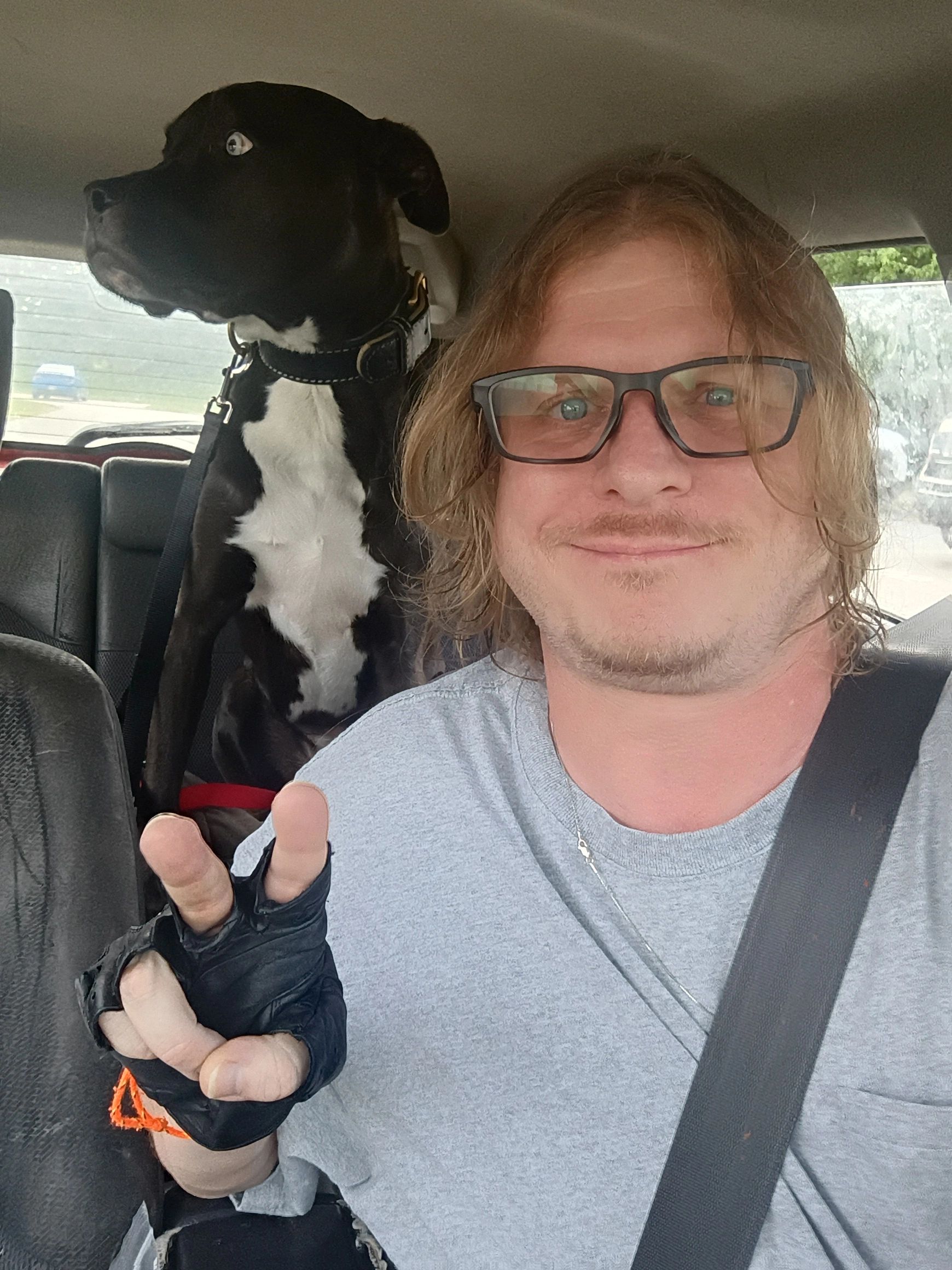 Man with glasses and fingerless gloves sitting in a car with a black and white dog.