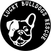 Lucky Bulldogs Rescue