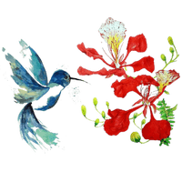The Flametree & Hummingbird Care and Facilities Management VBA
