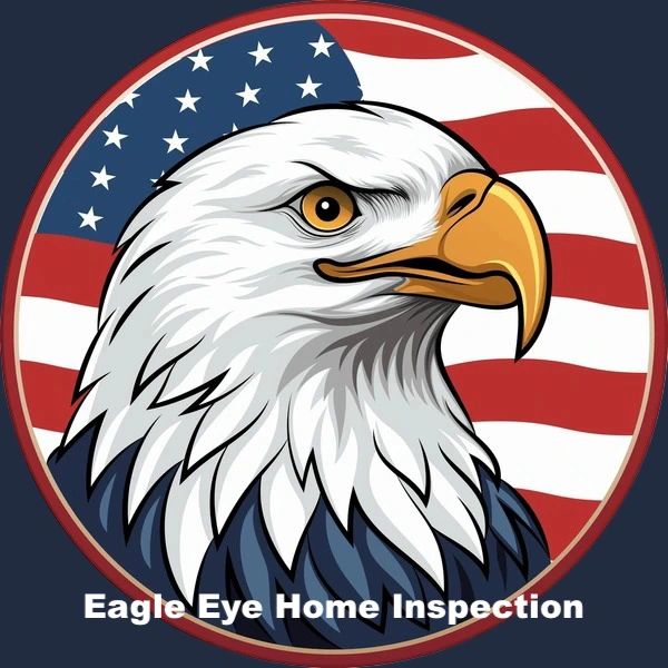 Bald eagle with American flag behind it and Eagle Eye Home Inspection in white text underneath. 
