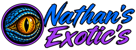 N8sExotix