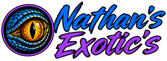 N8sExotix