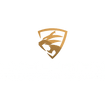 Evolution - Automotive services & detailing