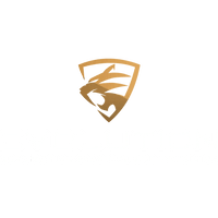 Evolution - Automotive services & detailing