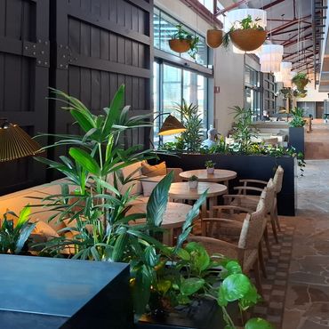 Internal Atriums & Office Spaces – Sleek finishes for indoor greening