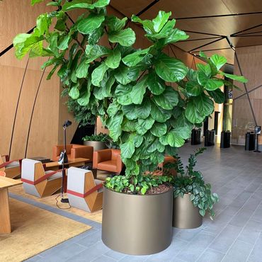 Indoor Aluminium Planter Boxes to bring life to Atrium Spaces