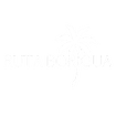 Ruta Boricua