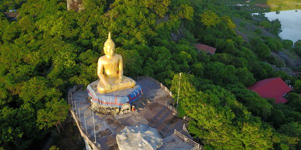 Golden Buddha statue on a hill surrounded by lush greenery.