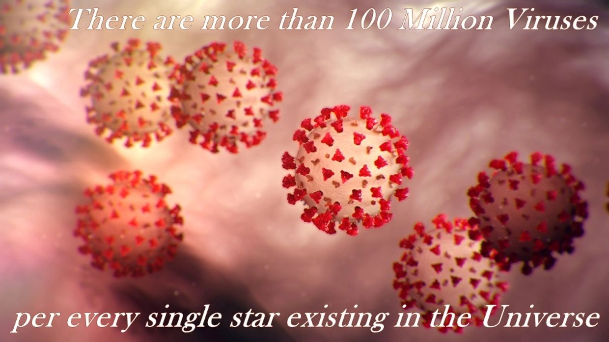 Image of SARS-CoV-2 virions + phrase 'There are more than 100 million viruses per star in universe'.
