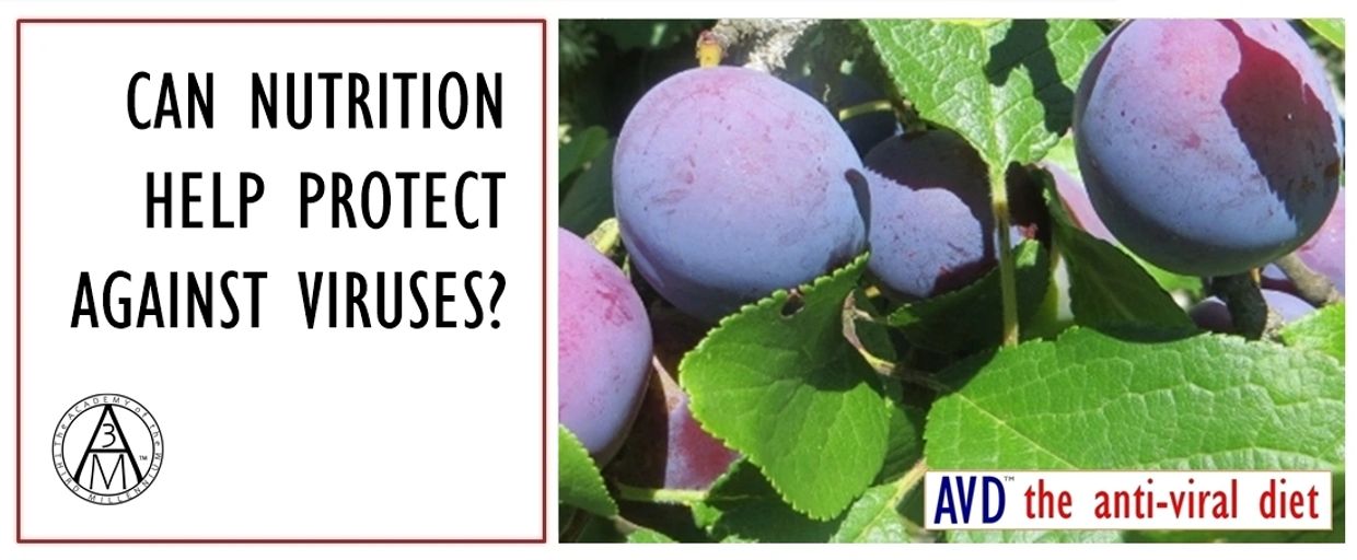 Image of ripe plums on a tree and accompanying text: "Can Nutrition Help Protect Against Viruses?"