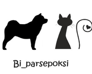 biparsepoksi.com