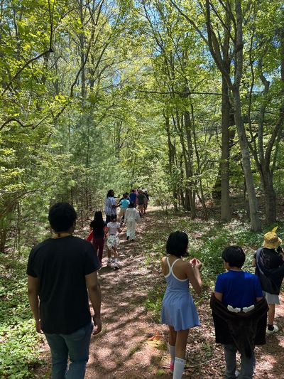 Group walking on a forest trail under green trees.