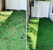 Before and after dog poop clean up. Our amazing dog, people and environmentally friendly deodorizer