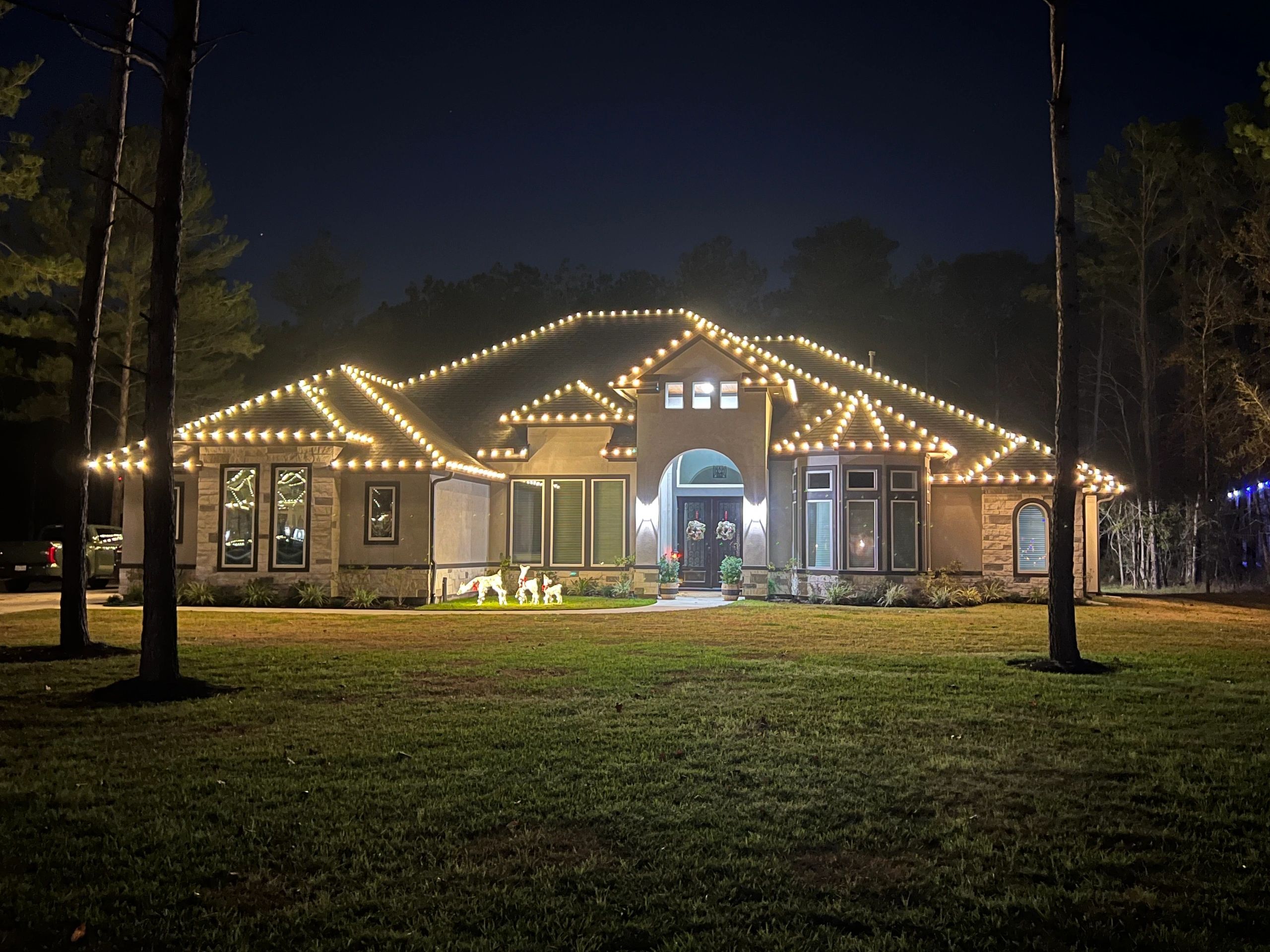 Custom Christmas Lights Fire Dawg Christmas Lights