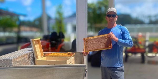 bee keeping