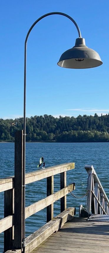 A lamp post on a wooden pier by a lake with forested hills in the background.
